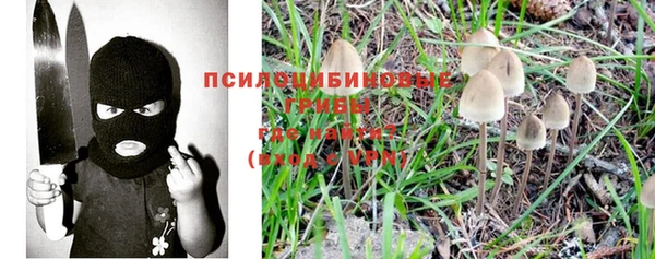 экстази Покачи