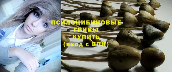 экстази Покачи