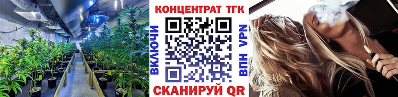 где купить наркоту  Волжск  ТГК THC oil 