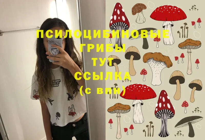 Псилоцибиновые грибы Magic Shrooms  купить наркотики сайты  Волжск 