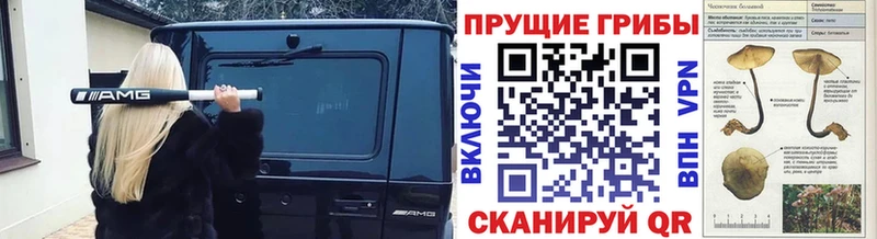 Псилоцибиновые грибы прущие грибы  Волжск 