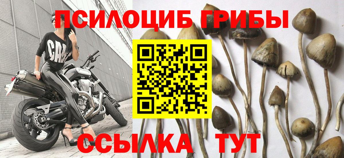 Галлюциногенные грибы ЛСД Волжск