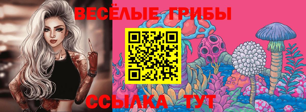 Галлюциногенные грибы мицелий  Волжск  Галлюциногенные грибы Psilocybe 